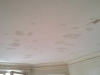 plafond_salon_avant